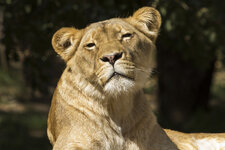 26.08. Zoo Leipzig-029.jpg