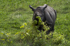 26.08. Zoo Leipzig-062.jpg