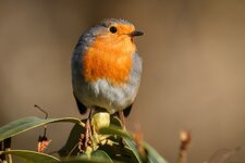 compIMG_8451.jpg