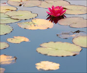 IMG_2773_web.jpg
