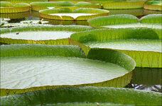 IMG_2803_web.jpg