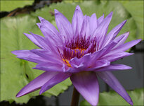 IMG_2805_web.jpg
