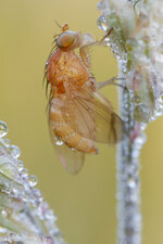 20130707-IMG_0849.jpg