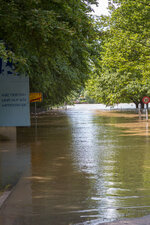 Ladenburger Hochwasser 06-2013-11.jpg