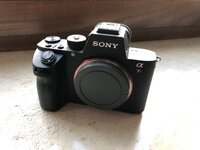 IMG_1239.jpeg