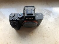 IMG_1241.jpeg