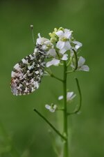 20190429 _02_TOP.jpg