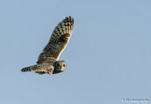 DSC_2116.JPG