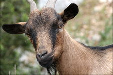 IMG_1533_DSLR.jpg