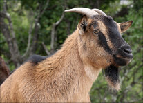 IMG_1535_DSLR.jpg