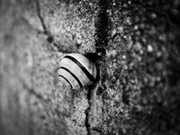 20130608-IMGP0127.JPG