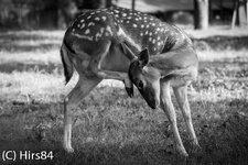 20130710-IMG_5116.jpg