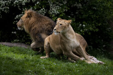 29.04. Zoo Leipzig-022.jpg