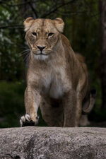 29.04. Zoo Leipzig-024.jpg