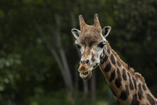 29.04. Zoo Leipzig-004.jpg