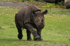 29.04. Zoo Leipzig-008.jpg