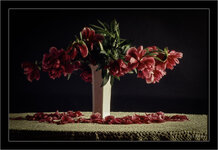 blumen0019.jpg