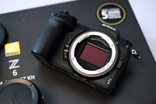 Nikon Z6 2470 FTZ 5.JPG