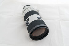 SAL 70-200_2.8 G_1.jpg