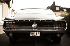 comp_IMG_3226.jpg