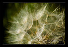 img2007-04-29-183544.jpg