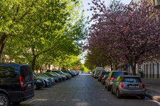 DSC00841.jpg