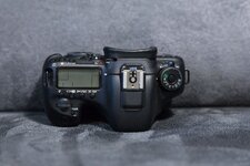 IMG_2765_.jpg