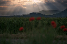 MOHN2 009FERTIGFINALDSLR.jpg