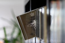 SEL50F18F DSLR-003.jpg