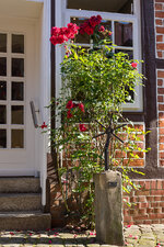 20190625_Lueneburg_6D2_020c_Baumstrasse-Forum.jpg