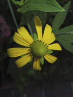 20130721-IMGP0048.JPG