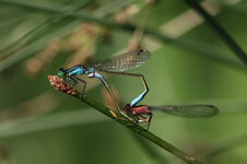 IMG_7875.JPG
