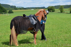 20130730-DSC_0083.jpg