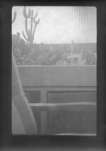 Balkon Kaktus BW (Large).jpg