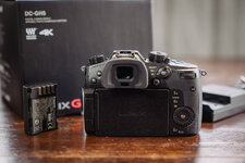 Panasonic-GH5-0003.jpg