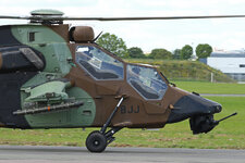 IMG_zzp4675.JPG