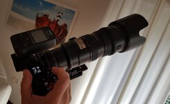 z6-2.jpg