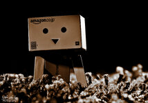 First Danbo for.jpg