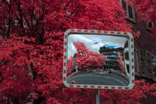 DSC_9985_Aerochrome.jpg