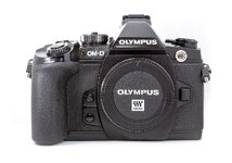 1200 OLYmpus OMD EM1-10.jpg