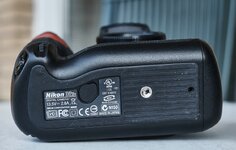 Nikon_ 0187.jpg