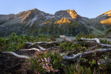 2019_08_18-06_48_52-3798-HDR-Bearbeitet-2-Bearbeitet.jpg