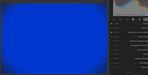 blue_screen_in_darktable.png