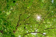Z7_00461_jiw.jpg