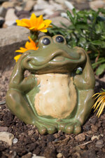IMG_0040_DSLR.jpg