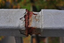 DSC_1411.jpg