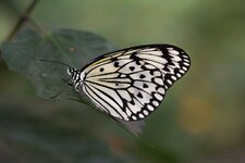 20190601-KST_5352.jpg