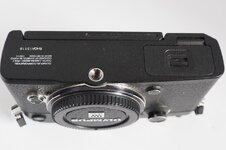 M9090018.JPG