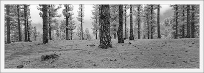 2019-07-02-03.jpg 2019-07-02-03.jpg