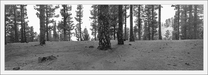 2019-07-02-02.jpg 2019-07-02-02.jpg